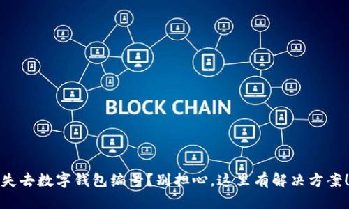 失去数字钱包编号？别担心，这里有解决方案！