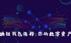 最稳妥的区块链钱包选择：你的数字资产安全守