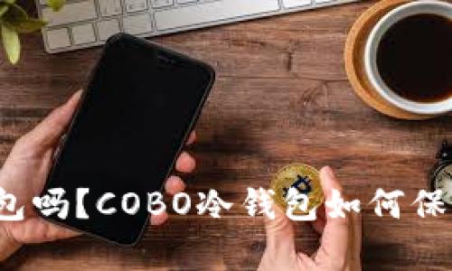 你真的了解冷钱包吗？COBO冷钱包如何保护你的数字资产？