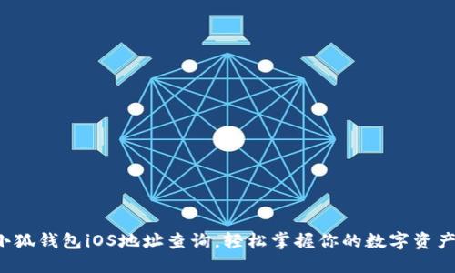 小狐钱包iOS地址查询，轻松掌握你的数字资产！