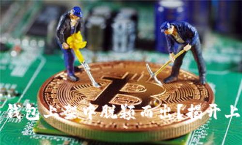 如何在区块链钱包上架中脱颖而出？揭开上架要求的真相