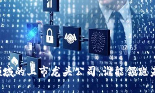 区块链领域的上市龙头公司：谁能领跑未来市场？