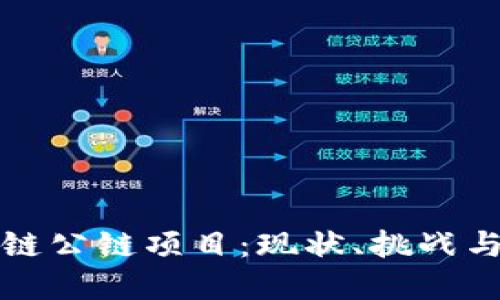 探索区块链公链项目：现状、挑战与未来展望