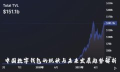 中国数字钱包的现状与未来发展趋势解析