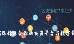 如何选择适合你的交易平台与数字钱包？