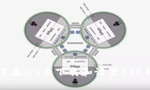 如何在iOS上下载和设置BSC钱包