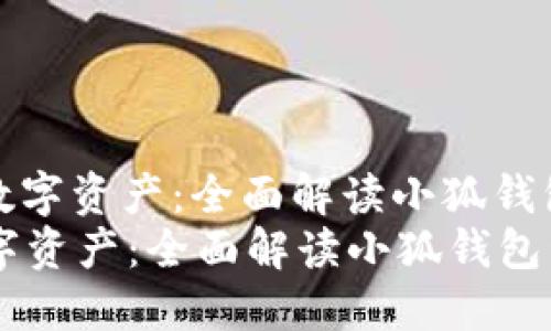 : 保护您的数字资产：全面解读小狐钱包私钥的使用
保护您的数字资产：全面解读小狐钱包私钥的使用