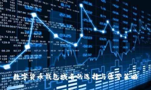 数字货币钱包域名的选择与运营策略