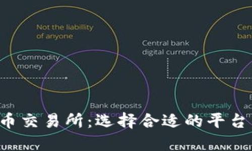 比较大的虚拟币交易所：选择合适的平台，提升交易体验