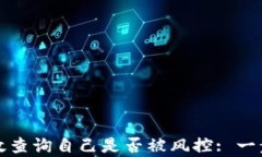 如何有效查询自己是否被风控: 一步步指南