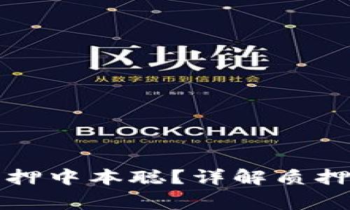 小狐钱包如何质押中本聪？详解质押流程与注意事项