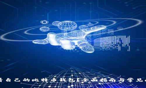 如何查看自己的比特币钱包？全面指南与常见问题解析