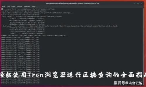 轻松使用Tron浏览器进行区块查询的全面指南
